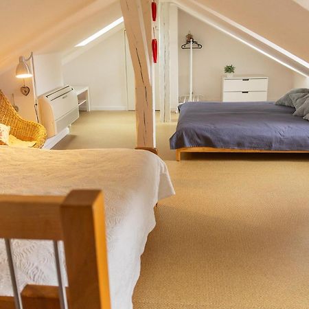 City Center Duplex Loft Кольмар Экстерьер фото